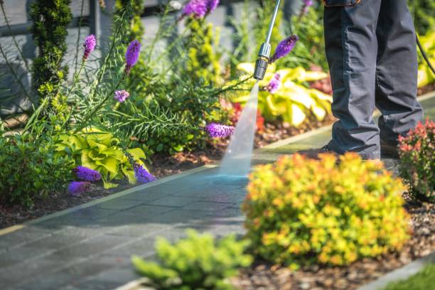 Best Parking Lot Cleaning in Akron, IA